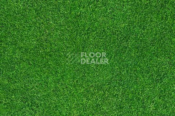 Ковролин Flotex Vision Image 000369 grass фото 1 | FLOORDEALER